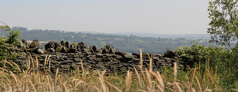 Dry stone wall and the valley beyond